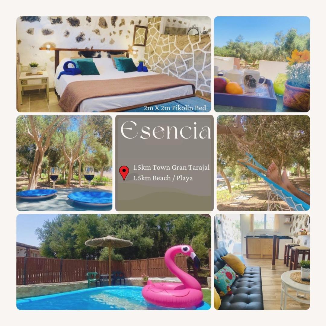 Casa de vacances Alma #only Adults *